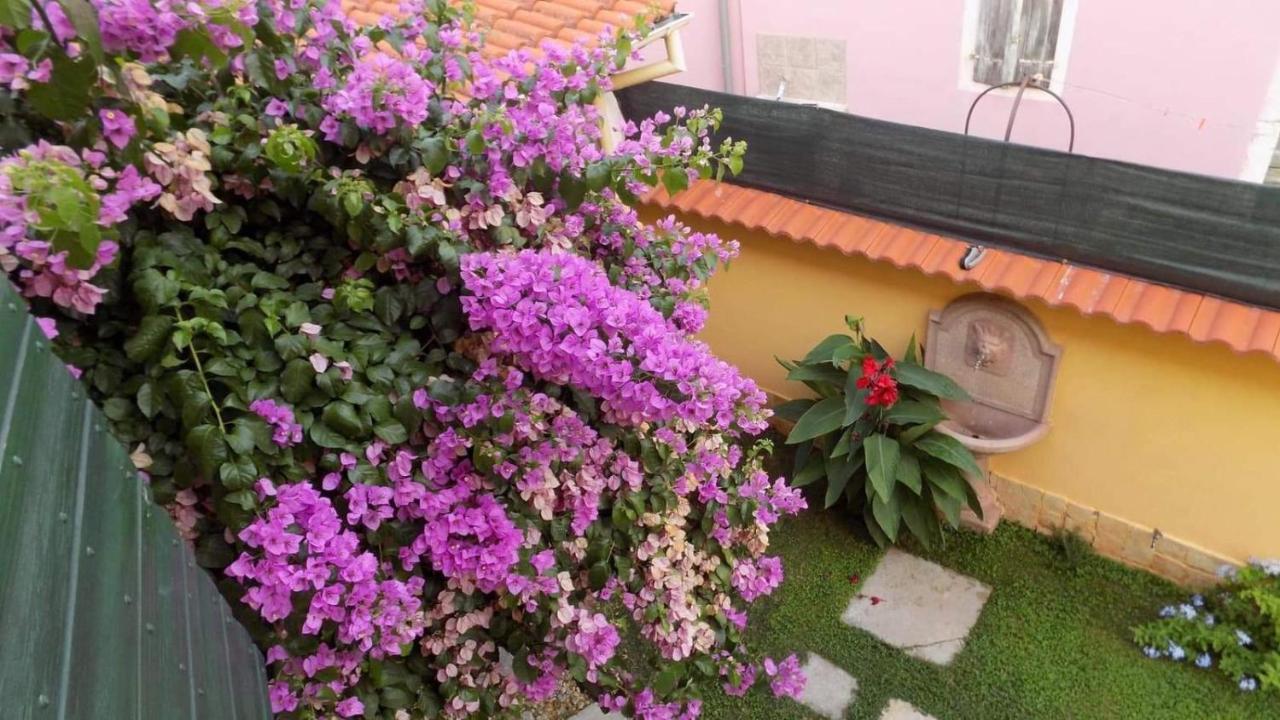 House Justina Zadar Exterior foto