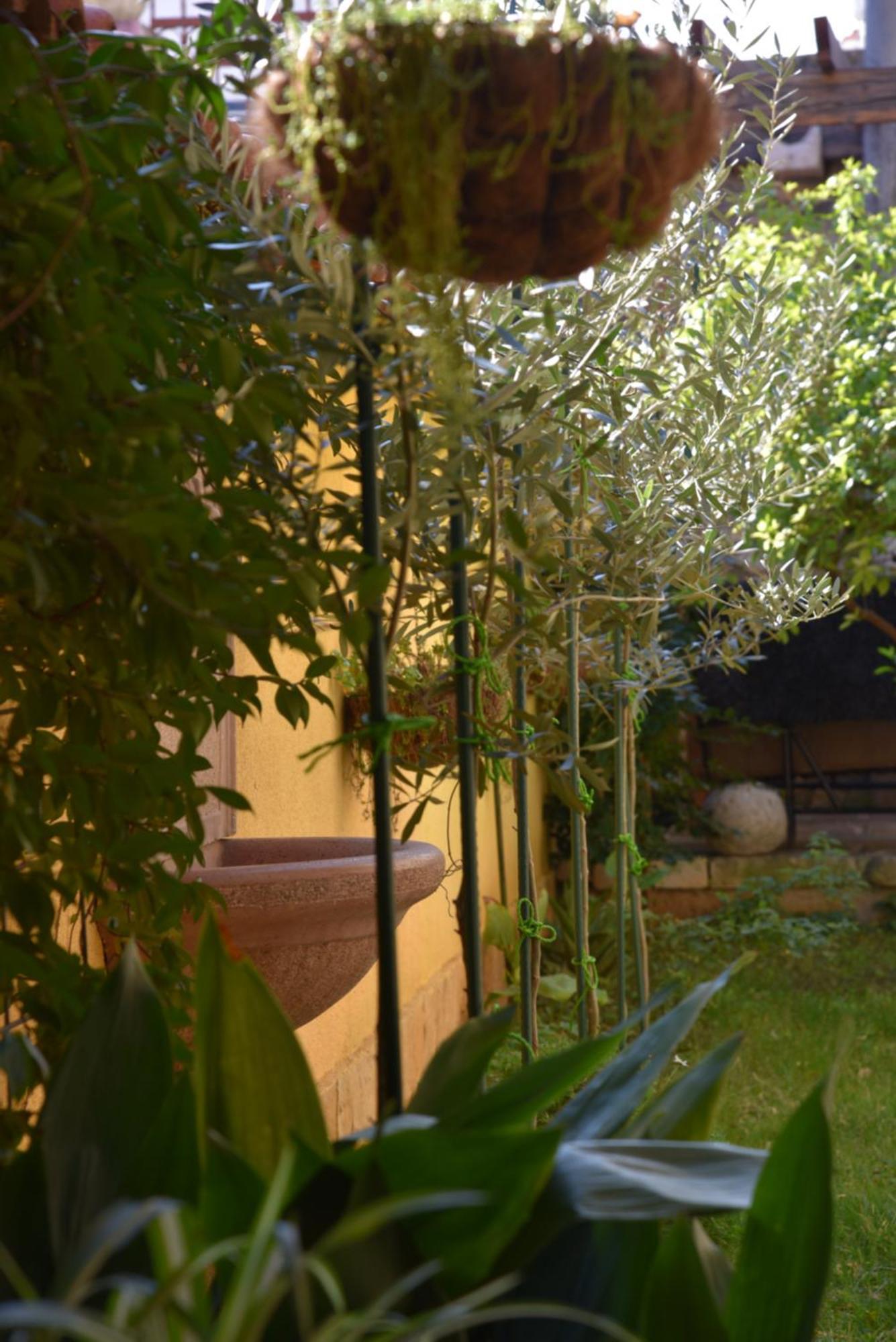 House Justina Zadar Exterior foto